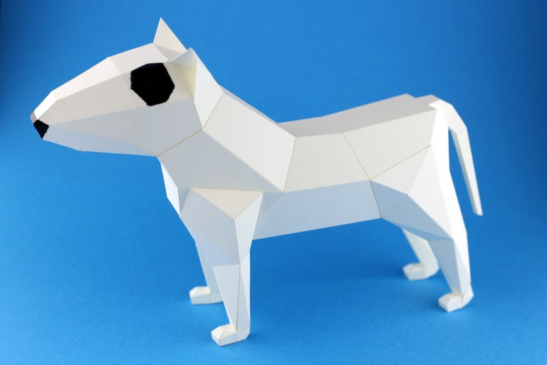 bull-terrier-kc-01-s