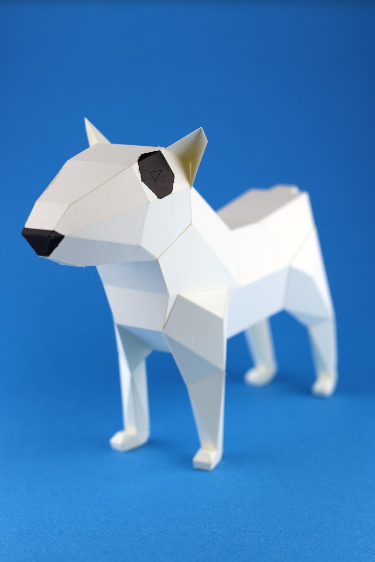 bull-terrier-kc-03-s