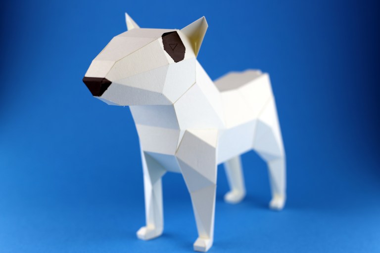bull-terrier-kc-04-s