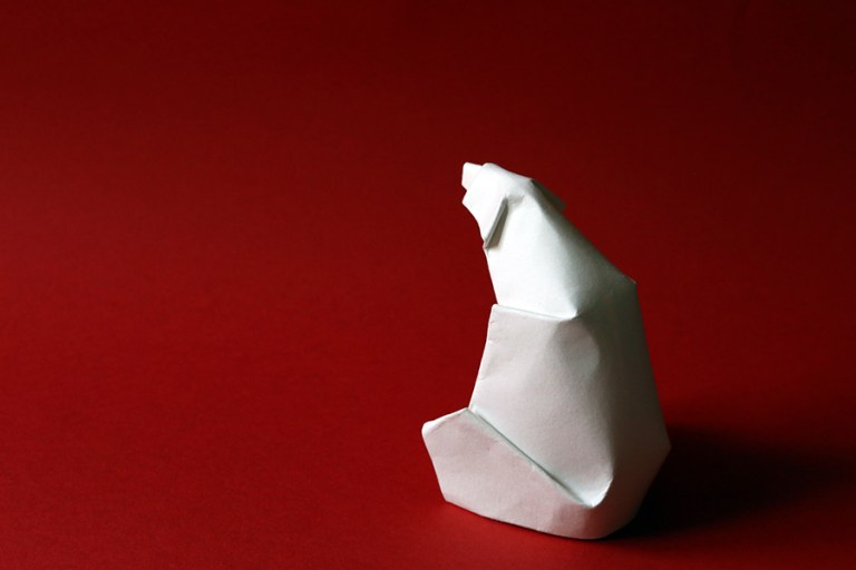 polar bear project-s.jpg